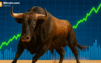 Bitwise Eyes Massive 2026—CEO Says ‘People Are Not Bullish Enough’