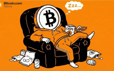 Fidelity Macro Analyst: Bitcoin Might Take a ‘Year off’ in 2026