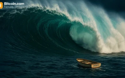 Big Buyers Storm In as Bitcoin’s Rebound to $91K Triggers Massive Liquidation Wave