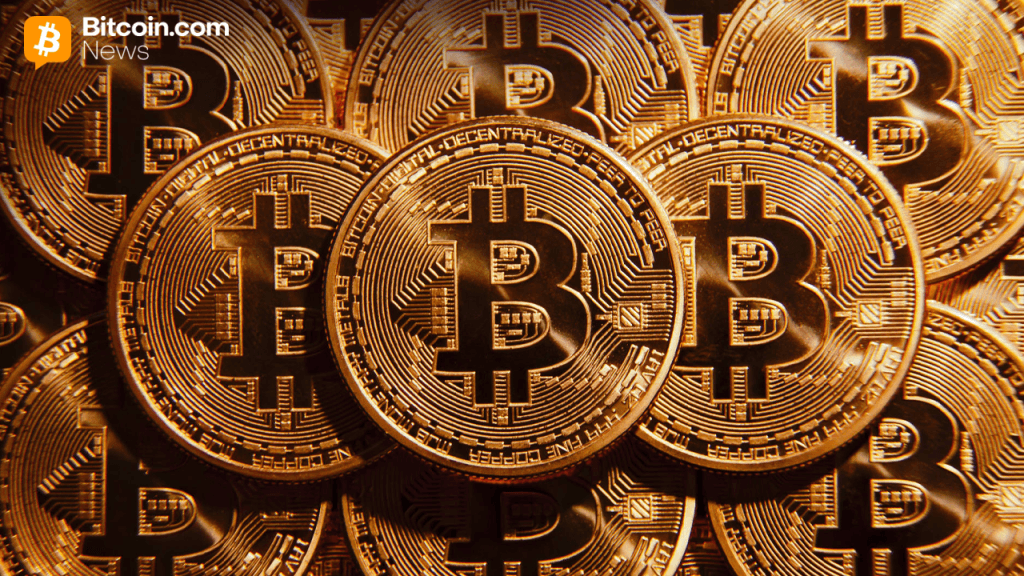 Strike Extends Margin Call Window for Bitcoin-Backed Loans as Volatility Intensifies