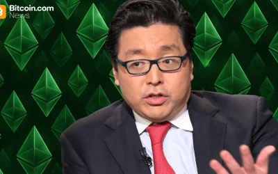 Digital Asset Treasury Firm Bitmine Adds 51,162 ETH Amid Market Pullback