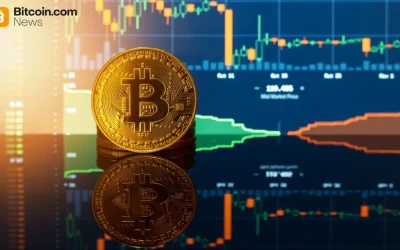 Diamond Hands Win: 85% of Bitcoin Holders Stood Firm Through the February Dip