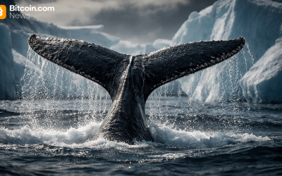 Bitcoin Whale Last Active in 2014 Executes Five-Transaction Move Totaling 500 BTC – Crypto News Bitcoin News
