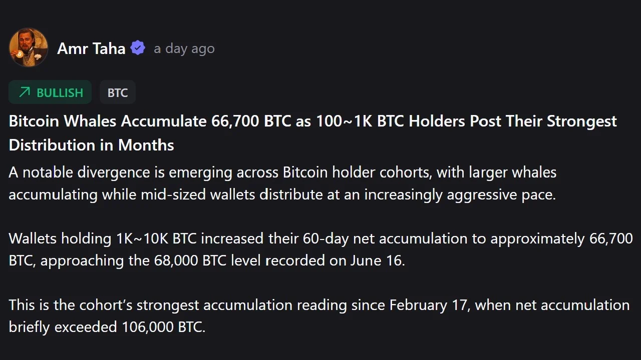 Whales vs. Mid-Tier Holders: The Dramatic Shift in Bitcoin Ownership Splitting the Market